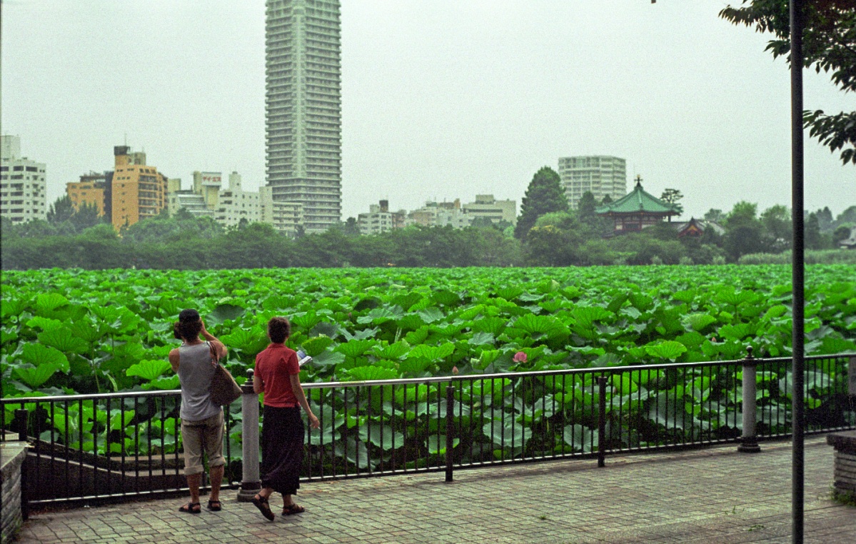 b0160184_17384.jpg