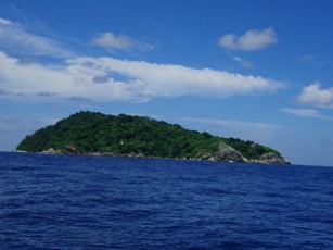 ジンベエと私→初日効果なし・・・。_f0144385_20263727.jpg
