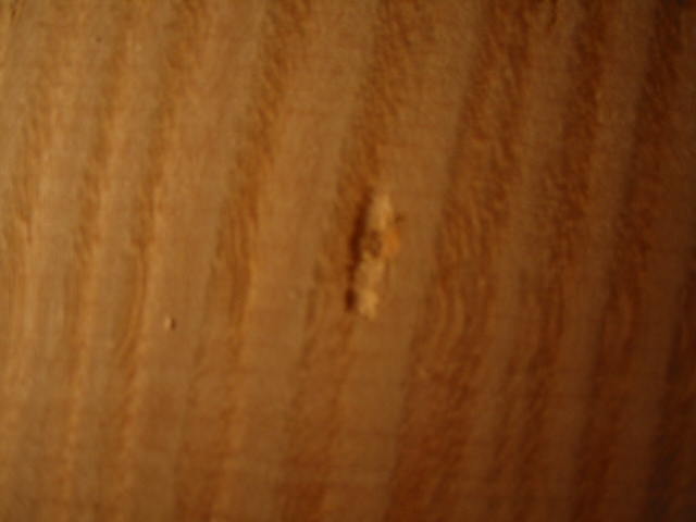 d0040395_18334292.jpg