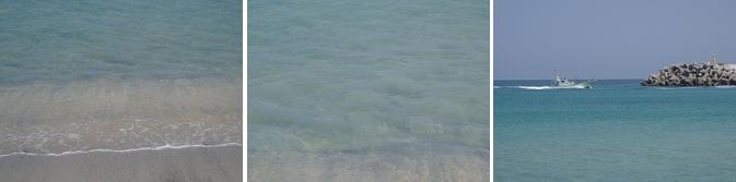 e0073196_2345239.jpg