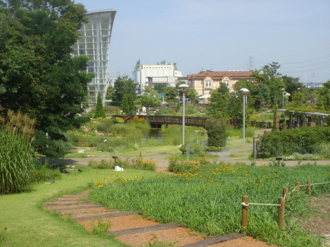 f0141096_14121383.jpg