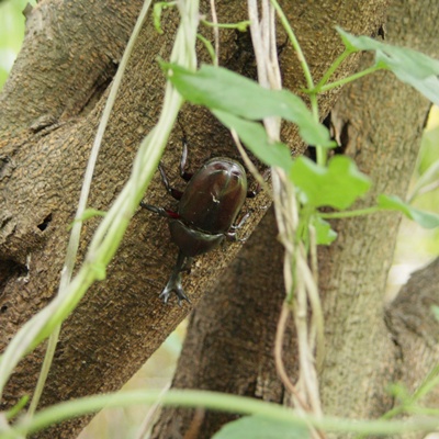 　水生植物園_f0154796_15343014.jpg