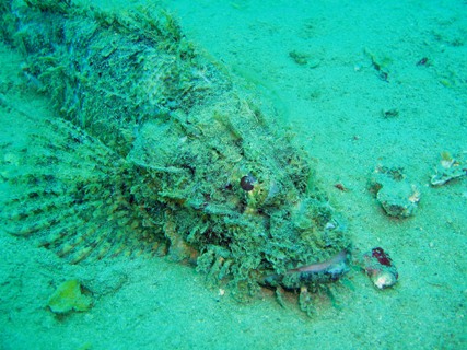 e0023100_17282.jpg
