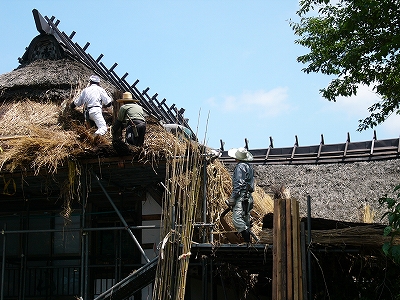 かやぶき屋根の修理_b0077405_1359116.jpg