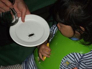 e0047610_0215777.jpg
