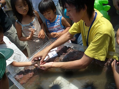 5回目を迎えた田子の浦港の「海交流」_f0141310_22133484.jpg