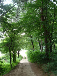 c0047814_8542481.jpg