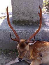 f0041115_18433321.jpg