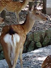 f0041115_18442756.jpg