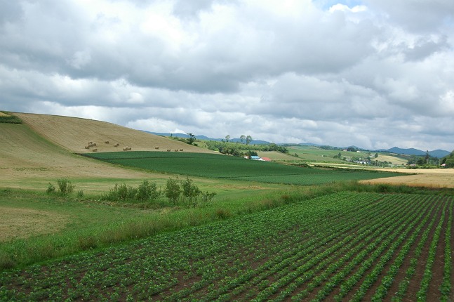 b0152416_0434687.jpg