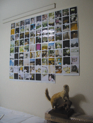 f0163916_19493918.gif