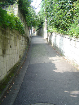 c0135618_1352528.jpg