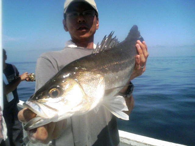 釣れるな…夏ジグ（２３日）_e0102422_18442711.jpg