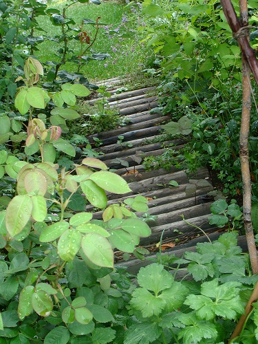 f0170524_12174869.jpg