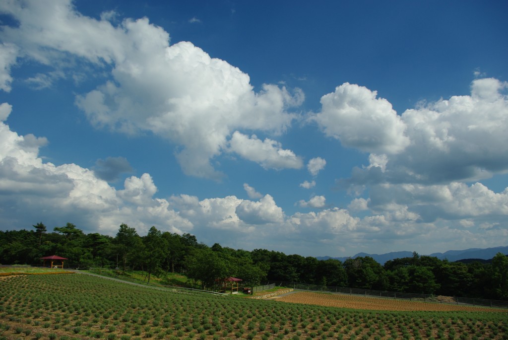 b0058733_0375249.jpg