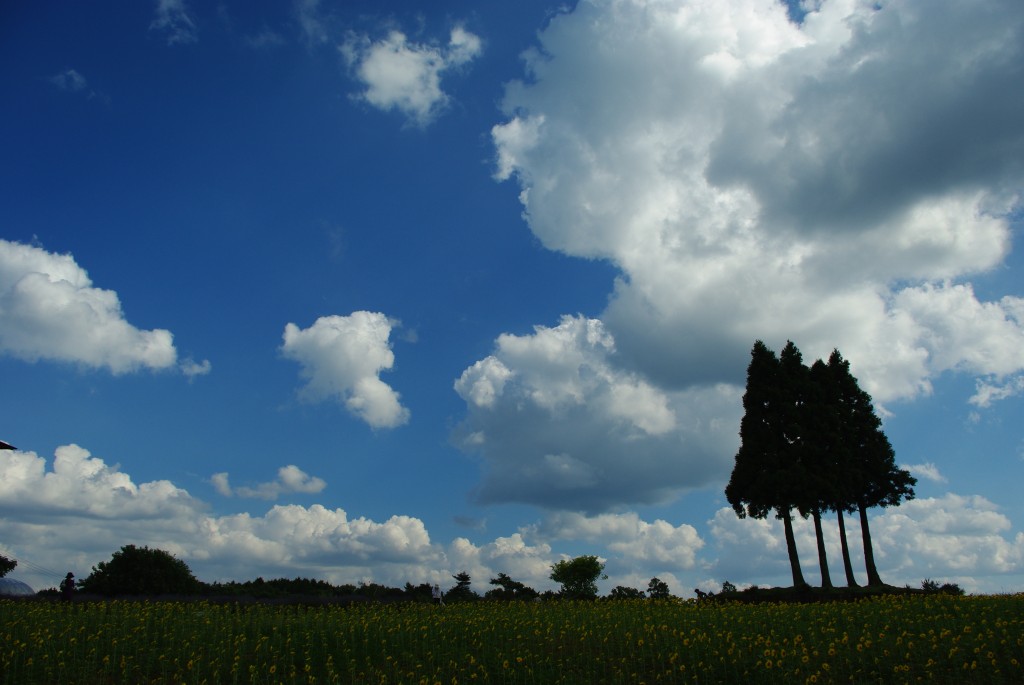 b0058733_0395138.jpg
