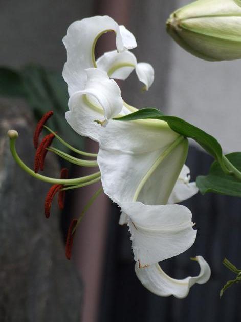 b0089338_7441960.jpg