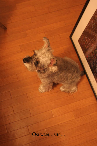 c0149339_00255.jpg