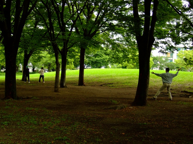 広島市中央公園探訪①_f0029441_8143495.jpg