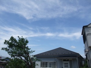 のび～る猫、夏の空_e0080345_1821370.jpg