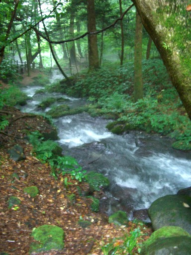 f0072846_02354.jpg