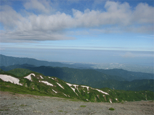a0044453_817381.gif