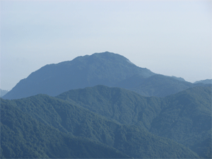 a0044453_8183484.gif