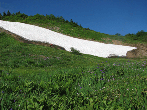 a0044453_820366.gif