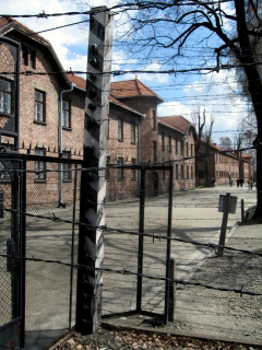 Kraków (Krakau) & Oświęcim (Auschwitz) : Poland_a0073357_0173545.jpg