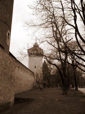 Kraków (Krakau) & Oświęcim (Auschwitz) : Poland_a0073357_05193.jpg