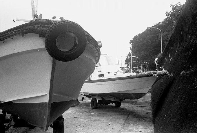 d0045383_1284476.jpg
