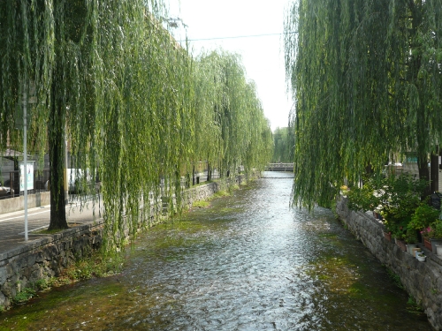 京都散策 Part3_f0097683_1902215.jpg