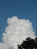 c0086188_64522.jpg