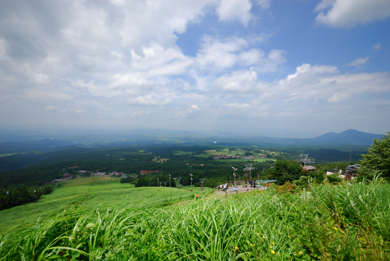 #116 野山を歩けば虫がいる_c0138991_18285885.jpg