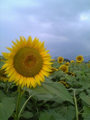 一方通行解除。_a0045293_9453825.jpg