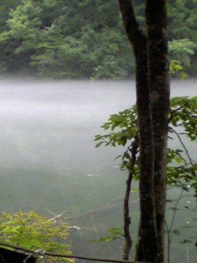 一方通行解除。_a0045293_9455619.jpg