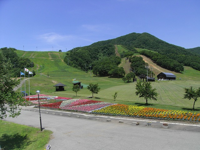 b0050305_21471117.jpg