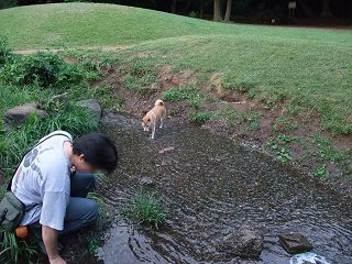 d0143214_2331962.jpg
