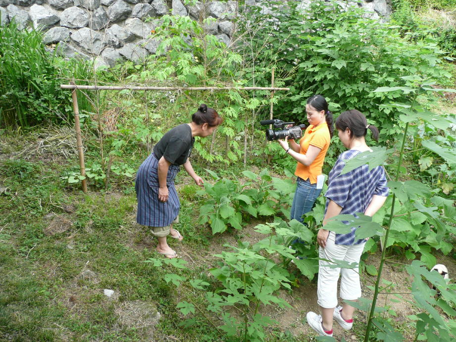 韓国のテレビが取材に来てくれました。_b0091719_1618374.jpg