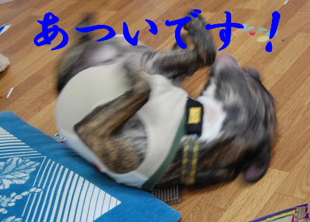 c0130324_0182562.jpg