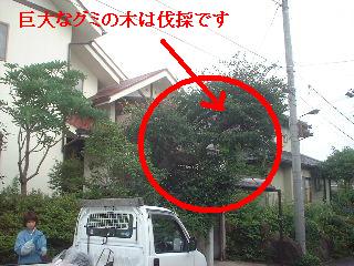 f0031037_18141565.jpg