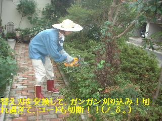 f0031037_1814232.jpg
