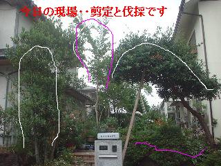 f0031037_1814538.jpg