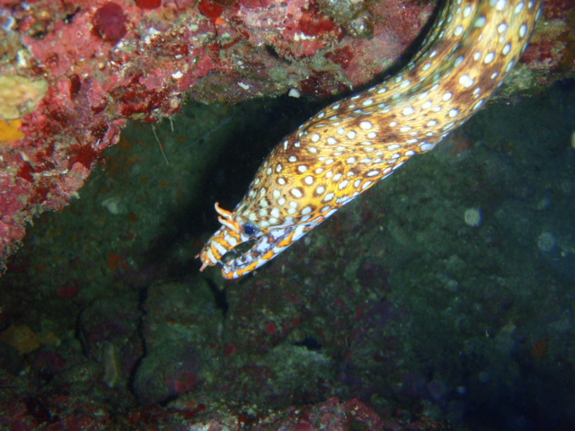 c0142045_9244074.jpg