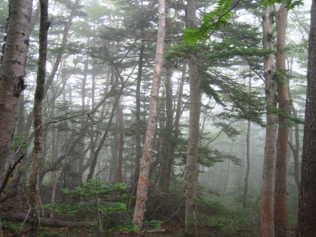e0009547_20415778.jpg