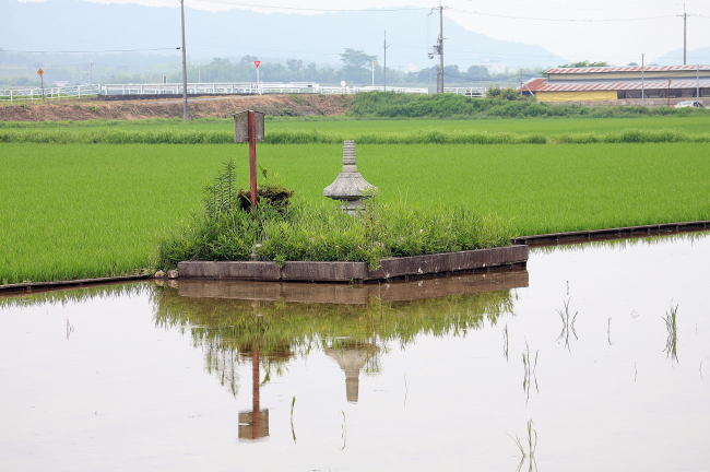 e0126548_13563.jpg