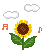 e0137390_11532446.gif