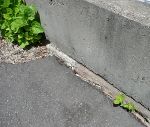 f0146198_1575657.jpg