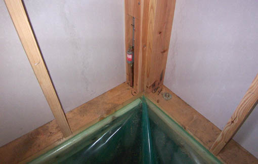 e0054299_109887.jpg