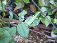 f0159403_21523587.jpg